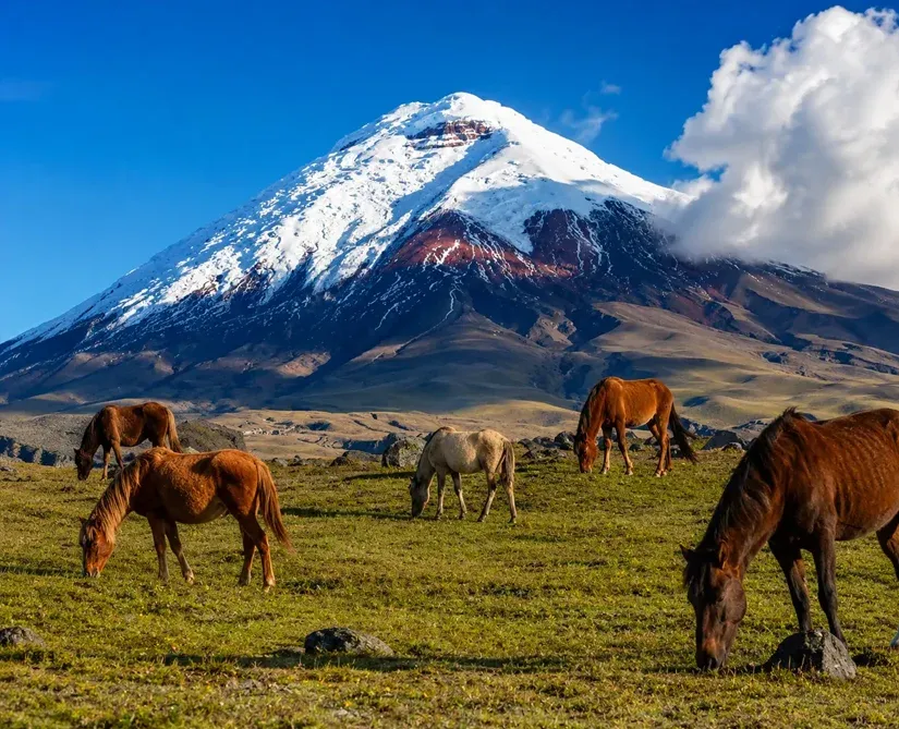 Volcanoes, Waterfalls and Andean Adventure 3 (1)