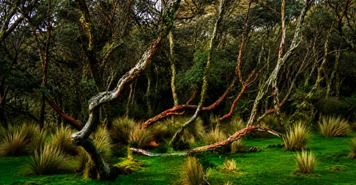 carrusel cuenca 1