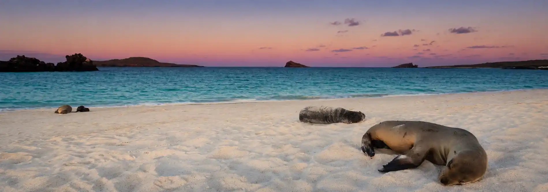 Galápagos